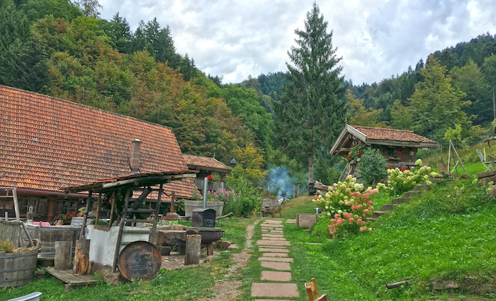 Bader Alm im Schwarzwald. Bader Alm im Schwarzwald.