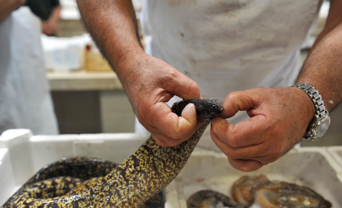 Sardinien. Mercato di San Benedetto
