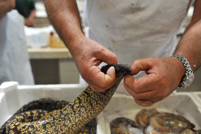 Sardinien. Mercato di San Benedetto