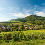 Die Pfalz. Erleben Sie ein besonderes Lebensgefühl