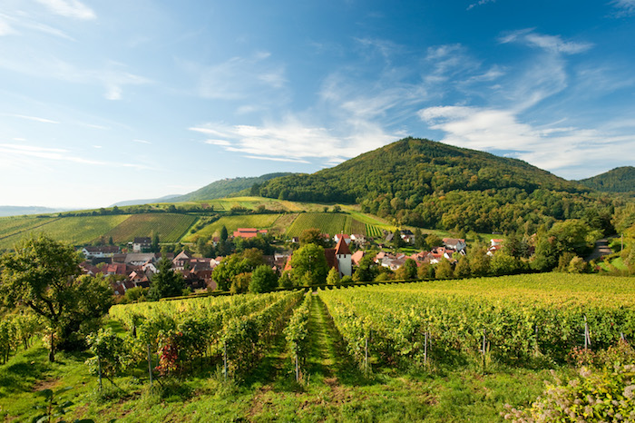 Die Pfalz. Erleben Sie ein besonderes Lebensgefühl