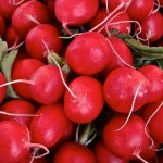 Radieschensuppe - ein tolles Rezept