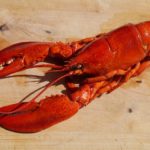 Hummer: richtig zubereiten, richtig zerlegen