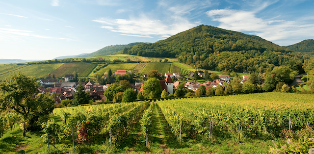 Foto Pfalz-Tourismus