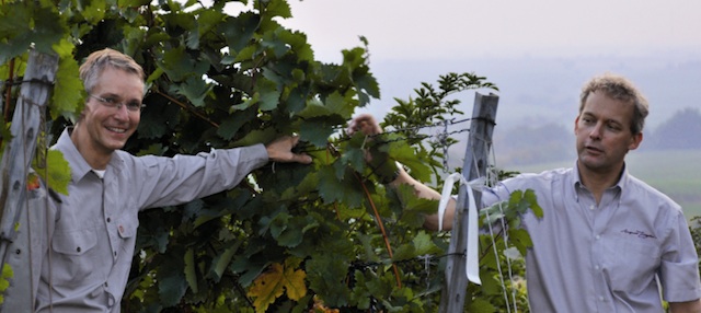 Weingut August Ziegler