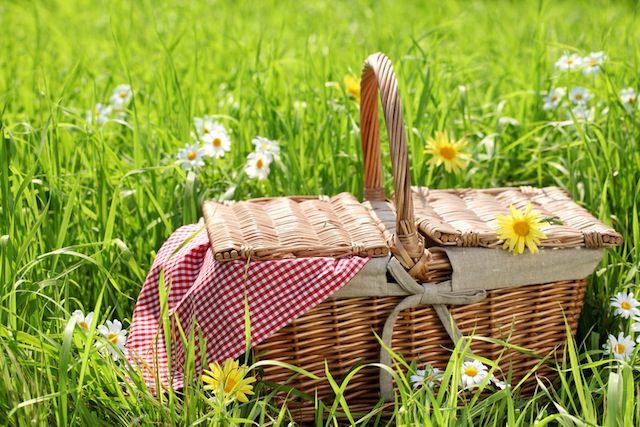 Picknick. Eine Mahlzeit, die dem Vergnügen dient