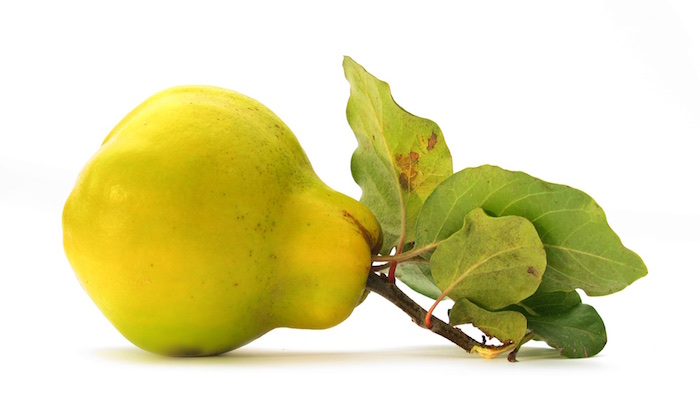 Apfel oder Birne? Nichts da, ich bin eine Quitte