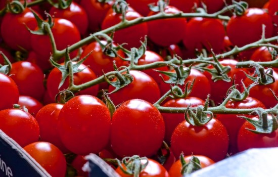 Rezept Tomatensuppe – ohne Sahne