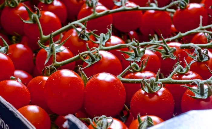 Rezept Tomatensuppe – ohne Sahne Rezept Tomatensuppe – ohne Sahne