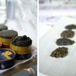 Caviar House & Prunier und Vranken Pommery
