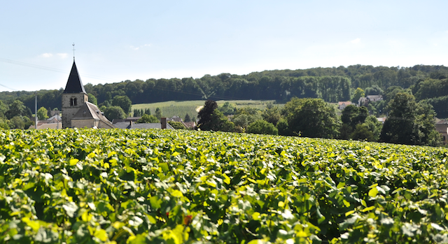 Die Champagne – Insidertipps Die Champagne – Insidertipps