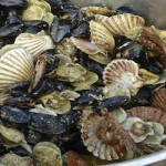 Gnam-Gnam. Muschelfest in Novigrad, Istrien. September 2014