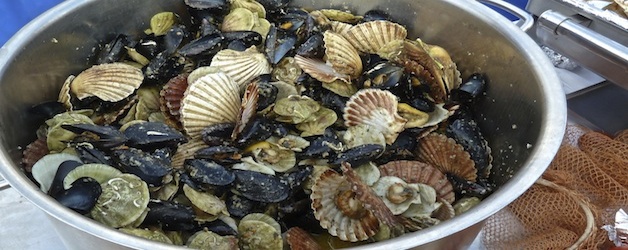 Gnam-Gnam. Muschelfest in Novigrad, Istrien. September 2014