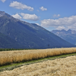 Ur-Paarl – Vinschgau. Es muss nicht immer Apfel sein ...
