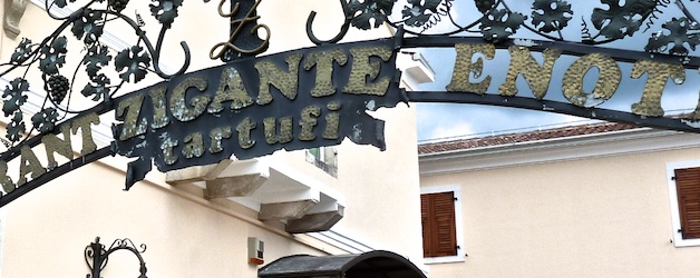 Gianfranco Zigante. Er fand die größte Trüffel der Welt