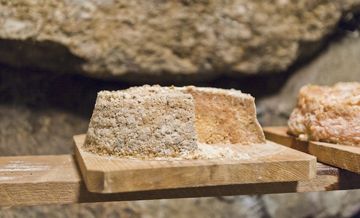 Graukäse – Liebesgeschichte für Lesefreudige
