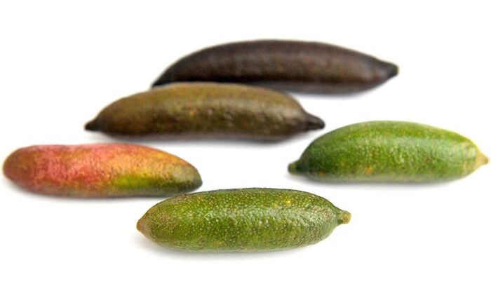 Raffiniert: Limettenkaviar auch Finger Limes