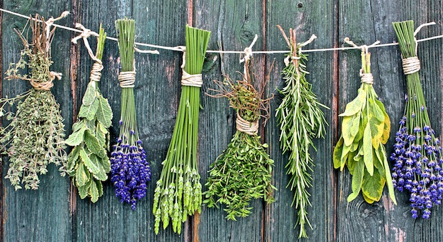 Klassiker des Kräutergartens: Lavendel. Tipps und Rezepte