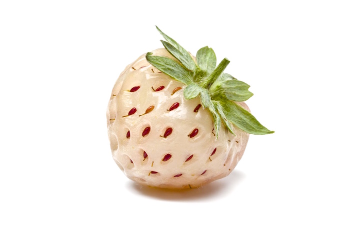 Ananas-Erdbeere oder Pineberry