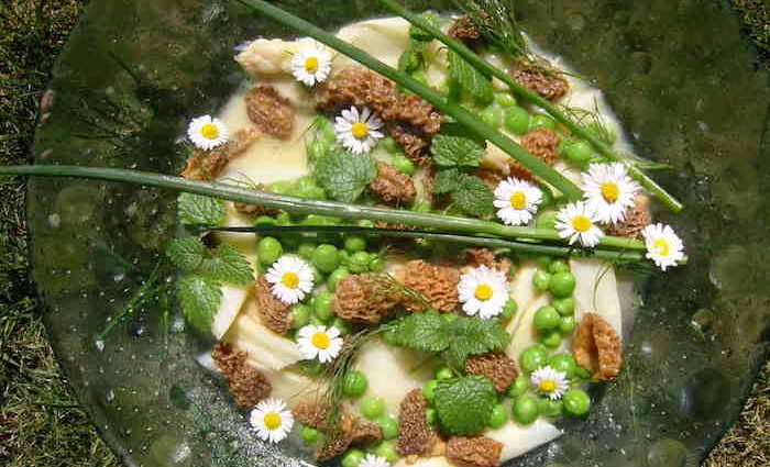 Rezept: Salat von Wildspargel – Morchel – Kalbszunge