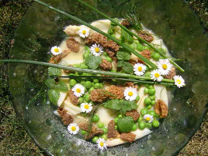 Rezept: Salat von Wildspargel – Morchel – Kalbszunge