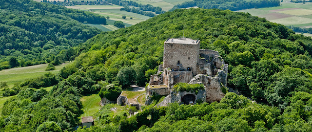 Der Sundgau. Das Paradies, ein Pfau und ein Gockel