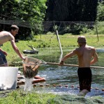 Die Fische des Grafen. Castell'sche Fischzucht im Allgäu