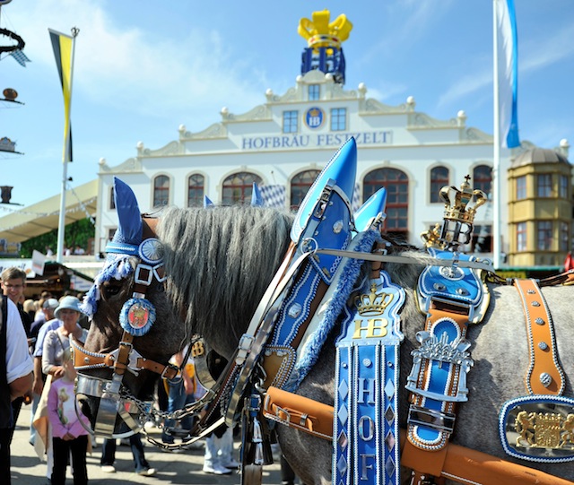 Münchner Oktoberfestbier. Sechs Brauereien und ihre Spezialitäten