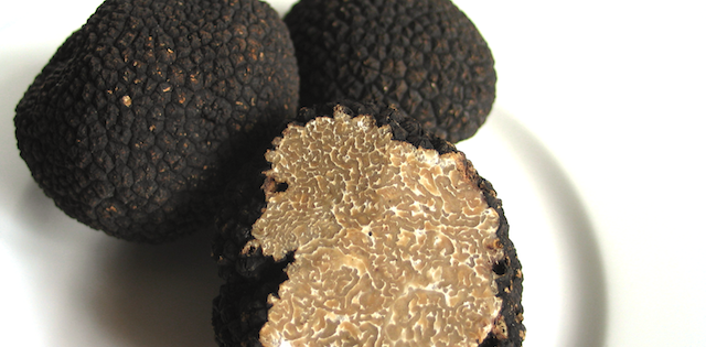 Delikatesse Truffel Was Sie So Unwiderstehlich Macht