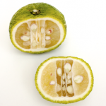 Mandarine, Grapefruit, Limette? Nichts davon. Mein Name ist Yuzu