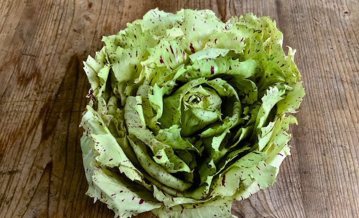 Forellenschuss. Alte Salatsorten, entdeckt auf dem Berliner Wochenmarkt