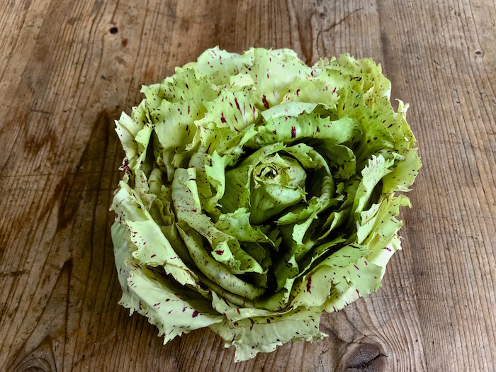 Forellenschuss. Alte Salatsorten, entdeckt auf dem Berliner Wochenmarkt