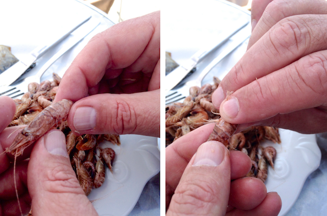 Krabben pulen, Fotos Foodhunter