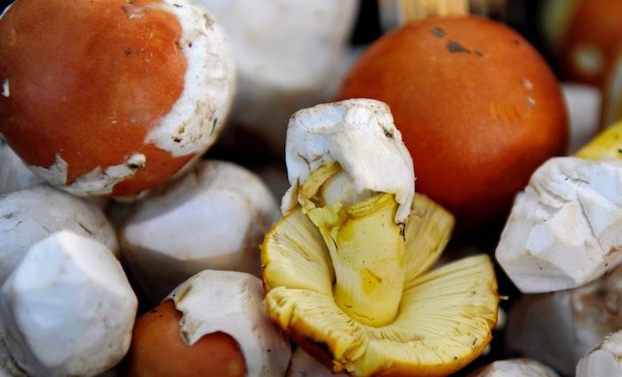 Foodhunters Sommerliebe: Der Kaiserling Foodhunters Sommerliebe: Der Kaiserling