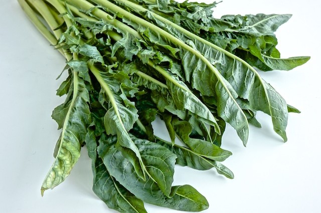 Zichorie de Catalogna Geschmack, Rezept, Genuss.