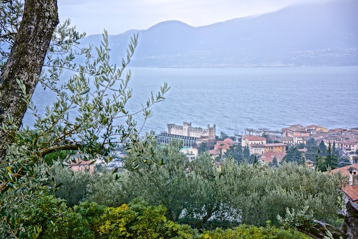 Paolo Bonomelli – feinstes Olivenöl vom Gardasee