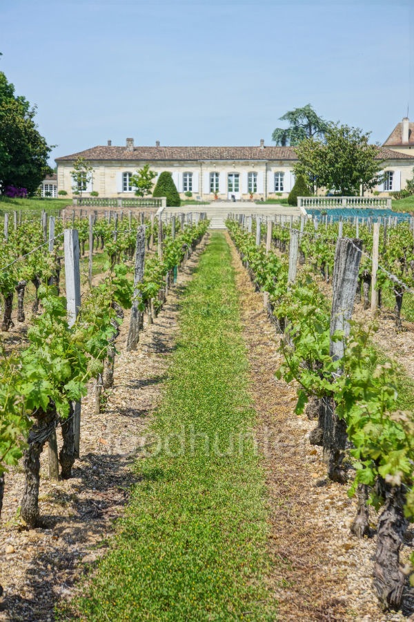 Château Magnol Château Magnol