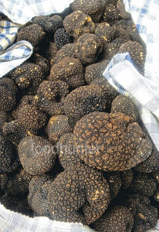 Trueffel, Foto foodhunter