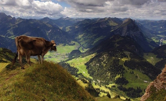 Gourmet Festival im Bregenzerwald