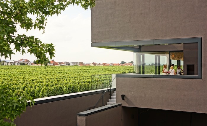 Markus Schneider. Weingut 2.0 Markus Schneider. Weingut 2.0