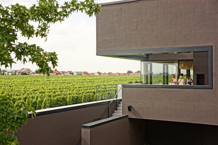 Markus Schneider. Weingut 2.0