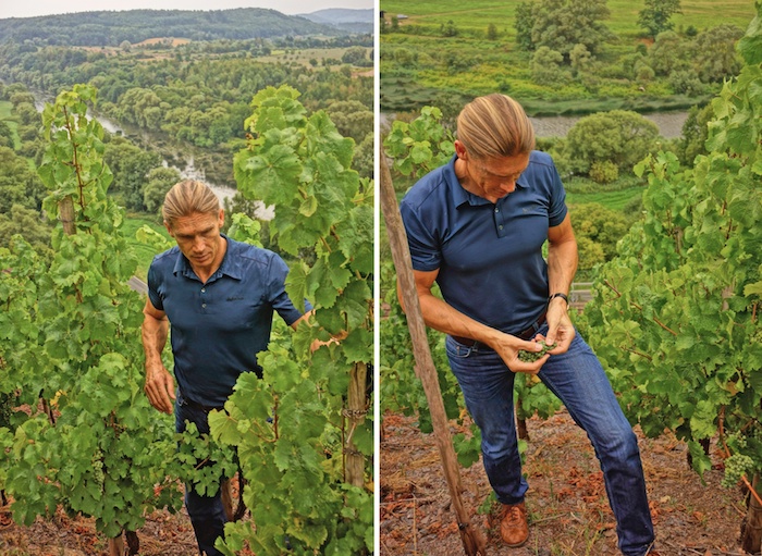 Roman Niewodniczanski, Van Volxem Weingut, Saarweine