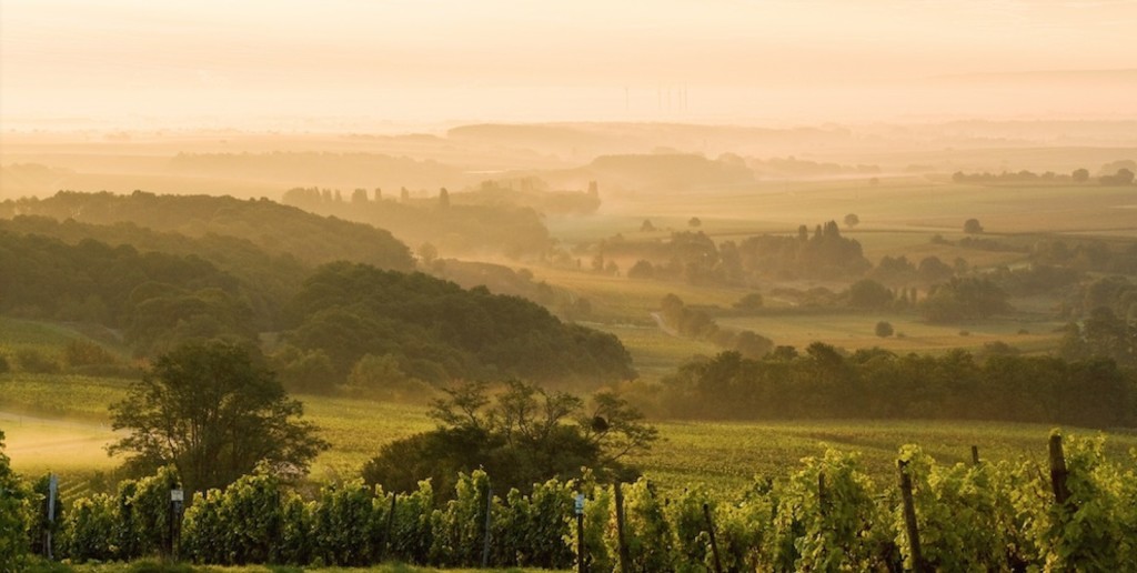 Pfalz, Foto Pfalz Tourismus