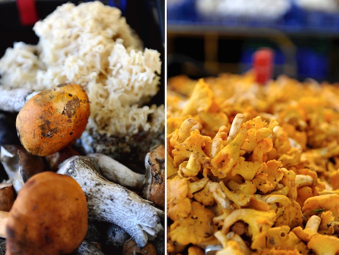 Pilze, ©foodhunter