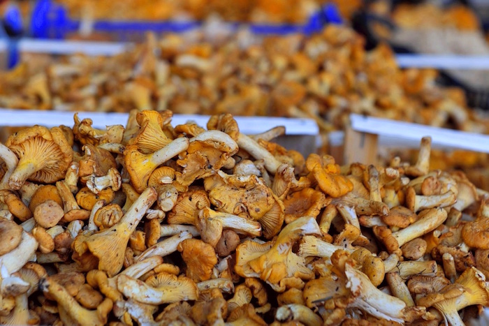 Viktualienmarkt: die wunderbare Welt der Pilze