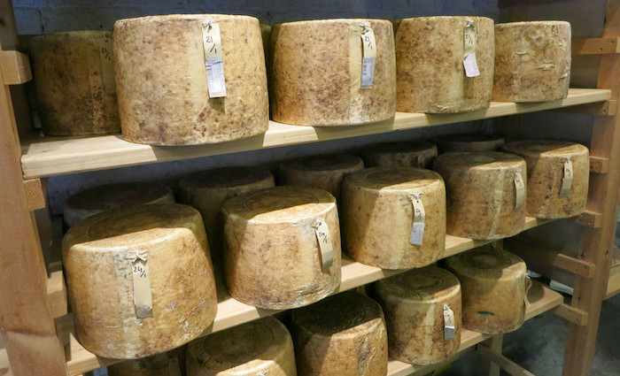 "EU-Käse" – Interview mit Bronwen Percival von Neal’s Yard Dairy