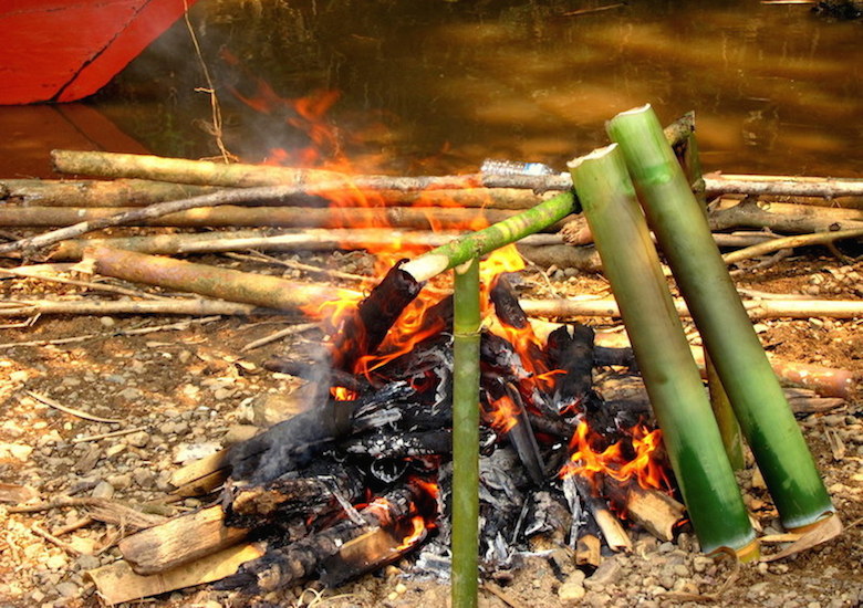 Bamboo 2