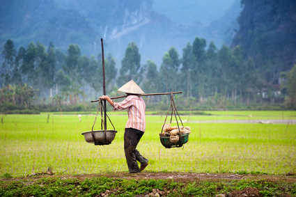 Tam Coc. Organic farming in Asia