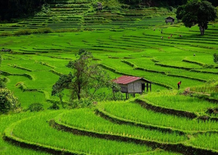 Thailand