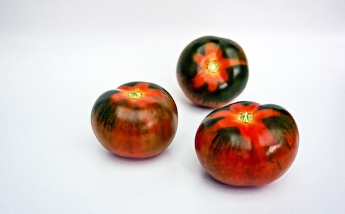 Tomate rot
